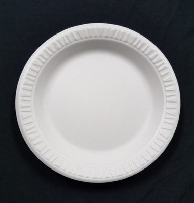 9' WHITE FOAM PLATES